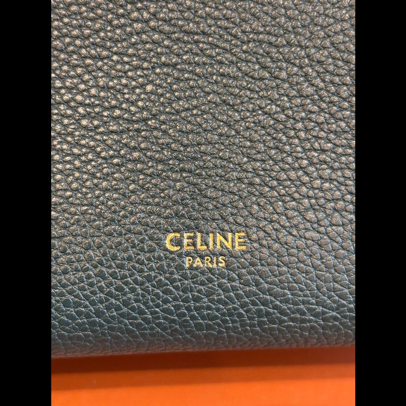 Celine Sangle small-17