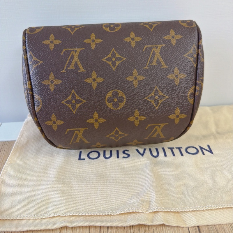 LV  原花 Mini Bumbag-3
