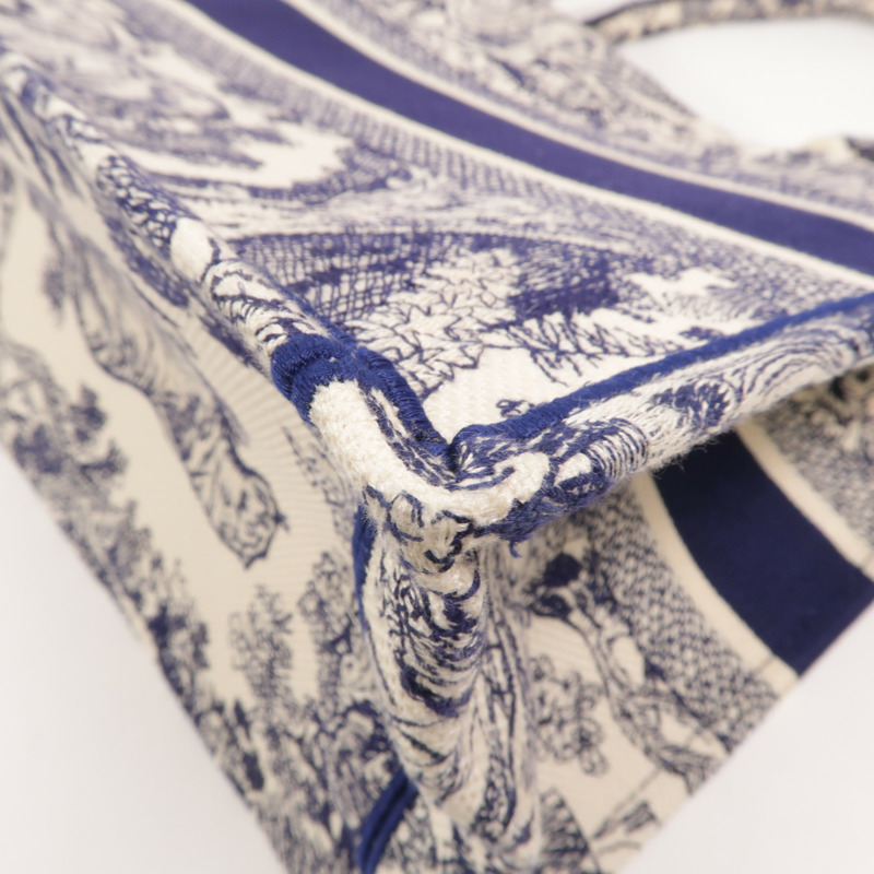 Dior 帆布Book Tote Medium手挽袋-12