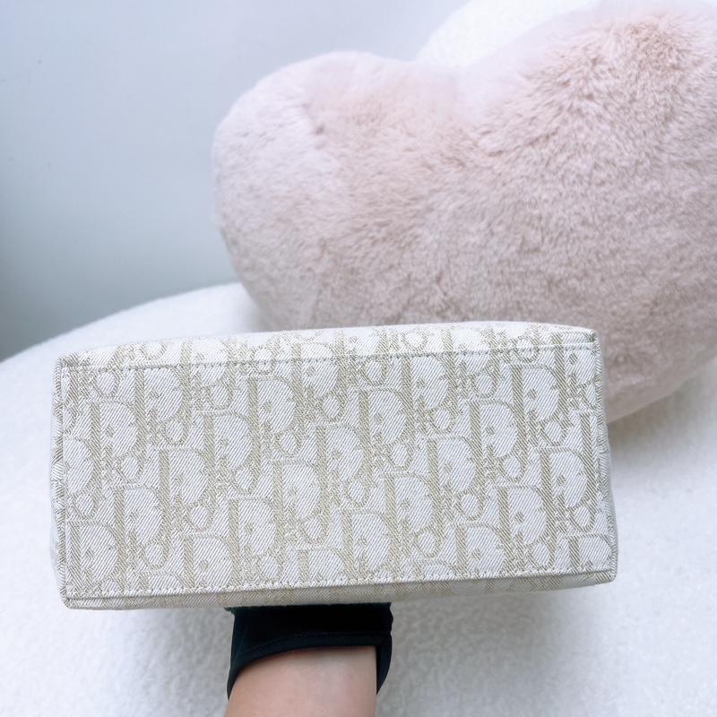 Dior diortravel nomad 金色刺繡老花飯盒包-1