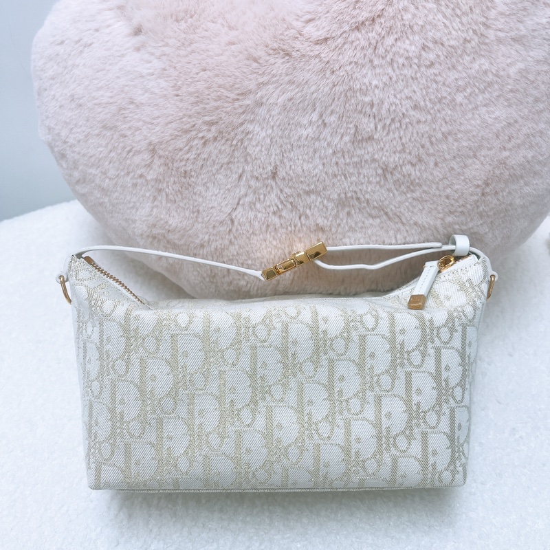 Dior diortravel nomad 金色刺繡老花飯盒包-5