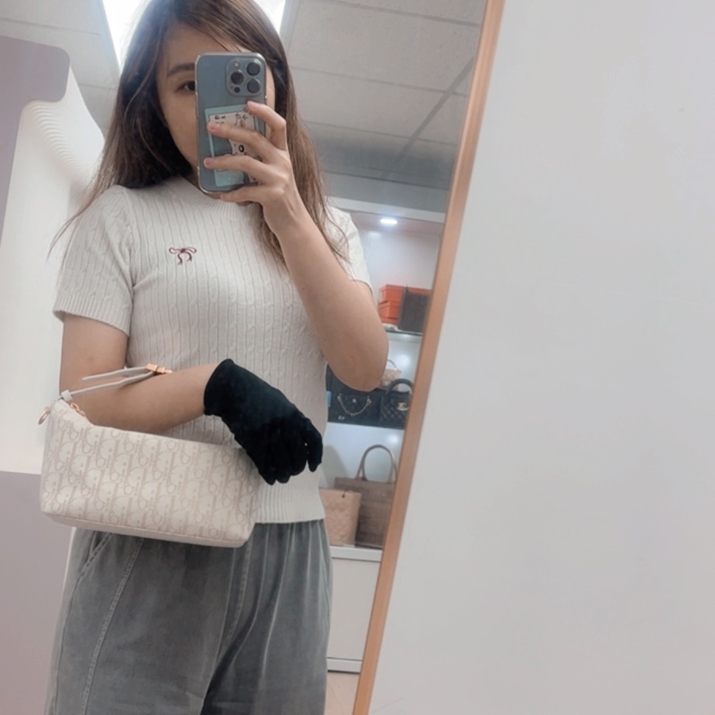 Dior diortravel nomad 金色刺繡老花飯盒包-12