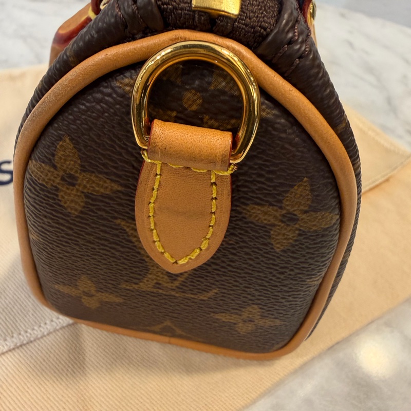 LV NANO SPEEDY 老花斜背包-17