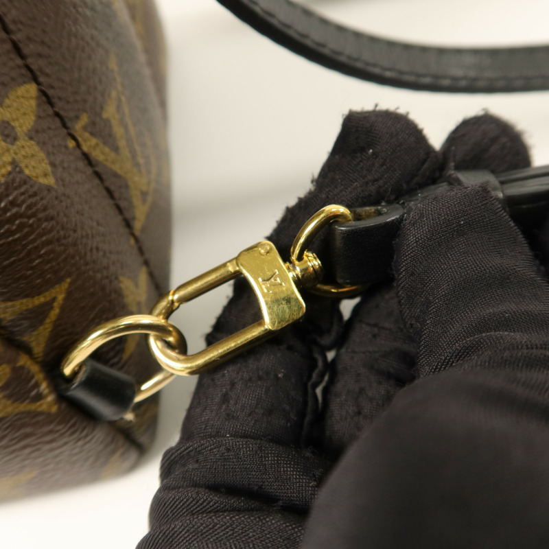 LOUIS VUITTON Monogram Palm Spring Mini背包-10