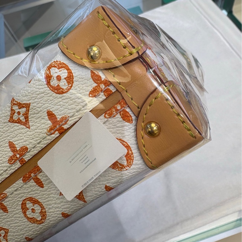 LV  LOUIS VUITTON貓狗限定白色硬盒子肩背包，晶片款-4