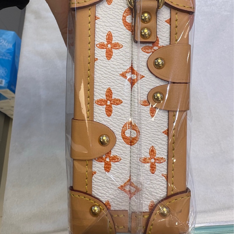 LV  LOUIS VUITTON貓狗限定白色硬盒子肩背包，晶片款-7