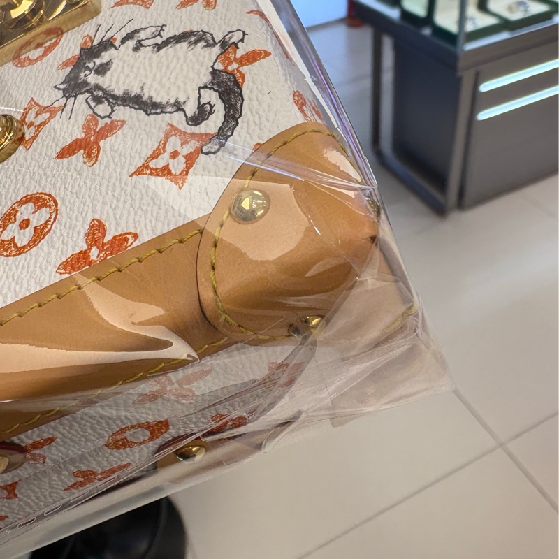LV  LOUIS VUITTON貓狗限定白色硬盒子肩背包，晶片款-8