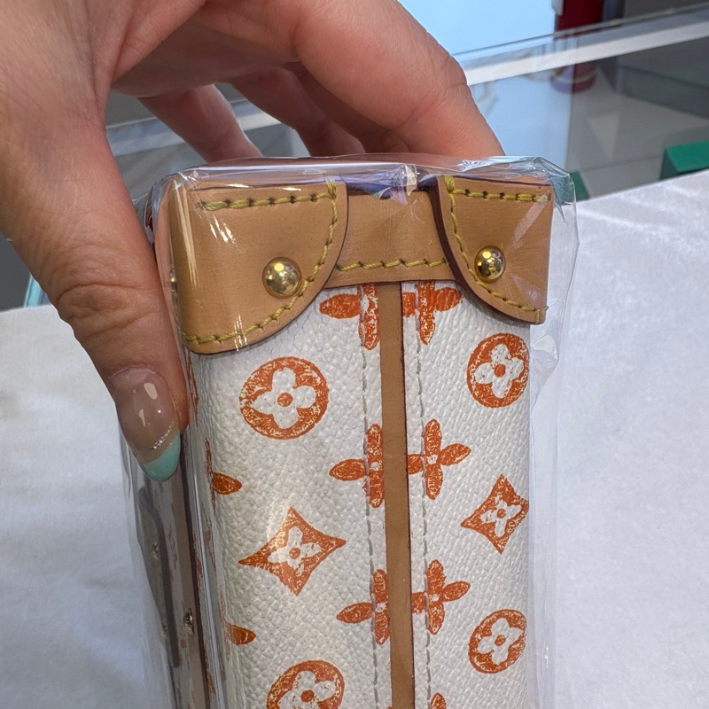 LV  LOUIS VUITTON貓狗限定白色硬盒子肩背包，晶片款-9