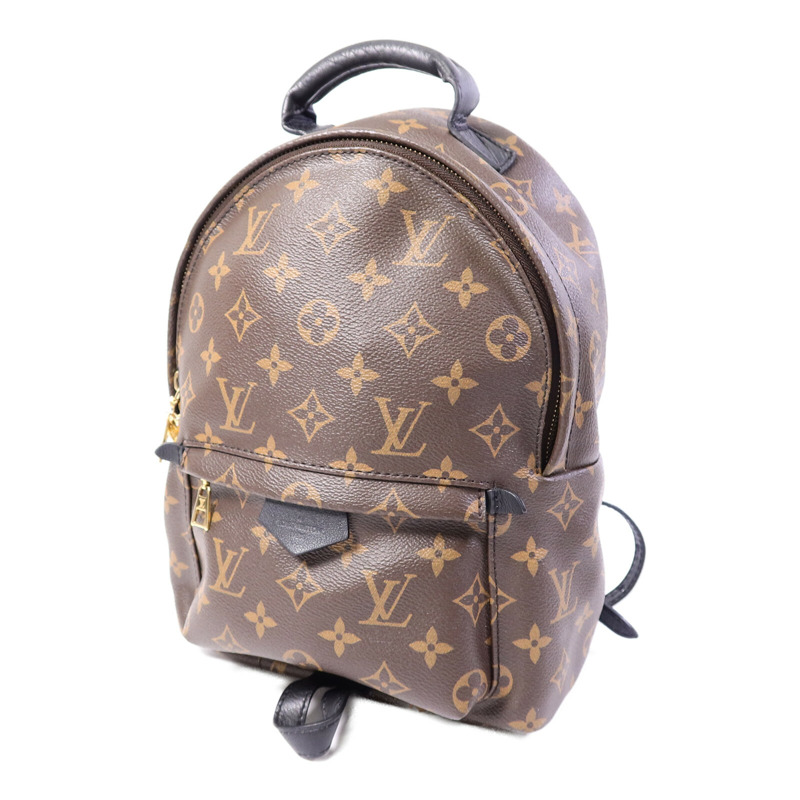 LOUIS VUITTON Monogram Palm Springs PM背包-2