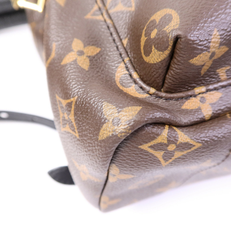 LOUIS VUITTON Monogram Palm Springs PM背包-10