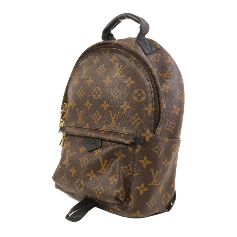 LOUIS VUITTON Monogram Palm Springs PM背包-2