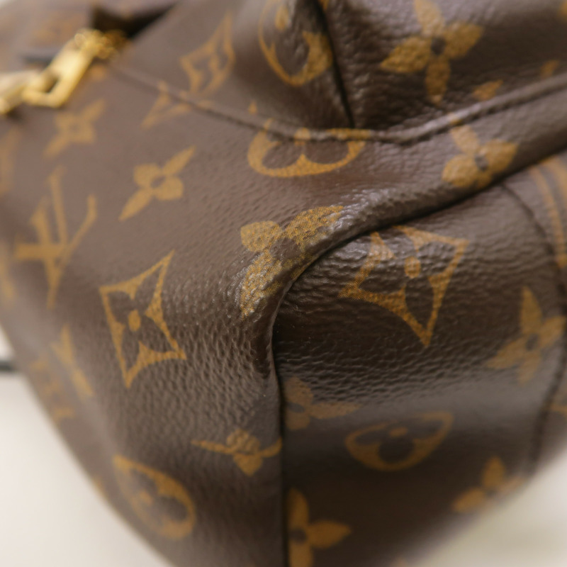 LOUIS VUITTON Monogram Palm Springs PM背包-9