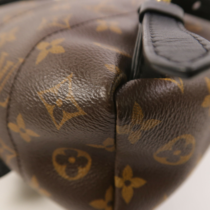 LOUIS VUITTON Monogram Palm Springs PM背包-10
