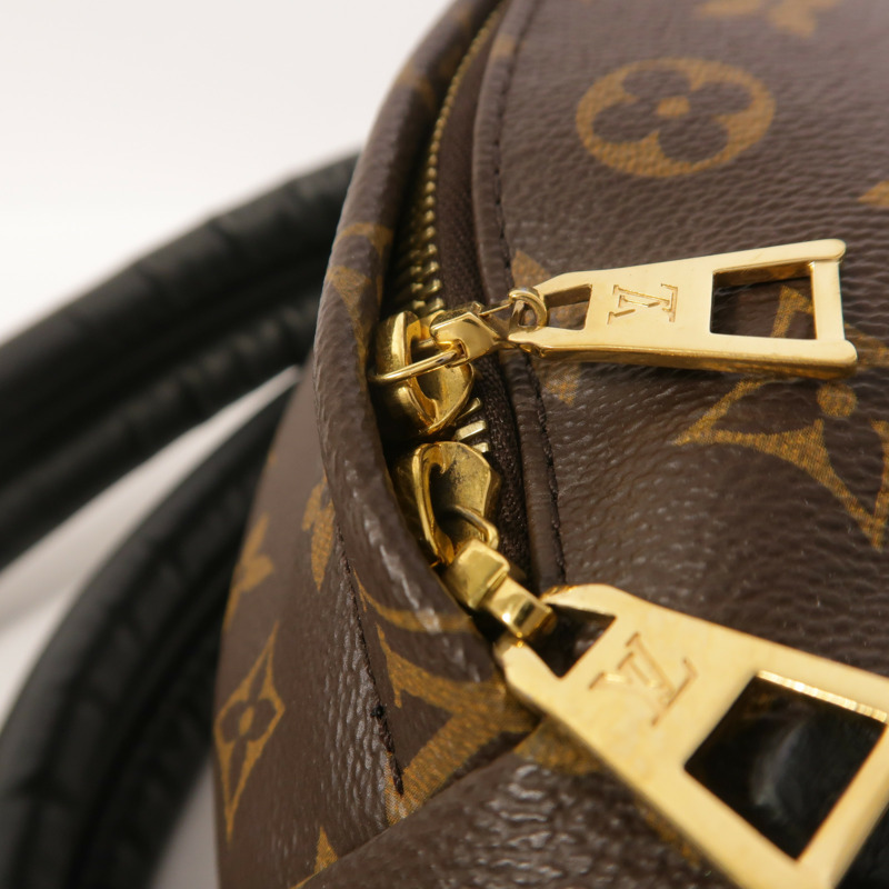 LOUIS VUITTON Monogram Palm Springs PM背包-12