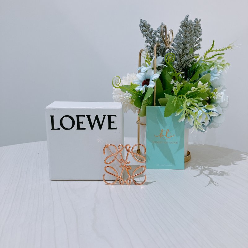 TK2048 Loewe 羅威經典胸針 Anagram Brooch-0