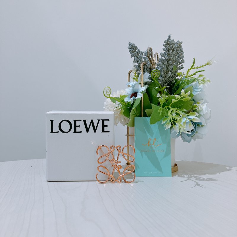 TK2048 Loewe 羅威經典胸針 Anagram Brooch-1