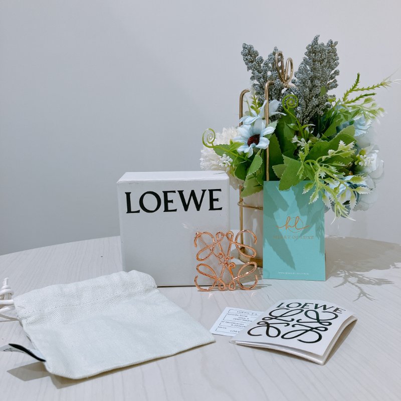 TK2048 Loewe 羅威經典胸針 Anagram Brooch-10
