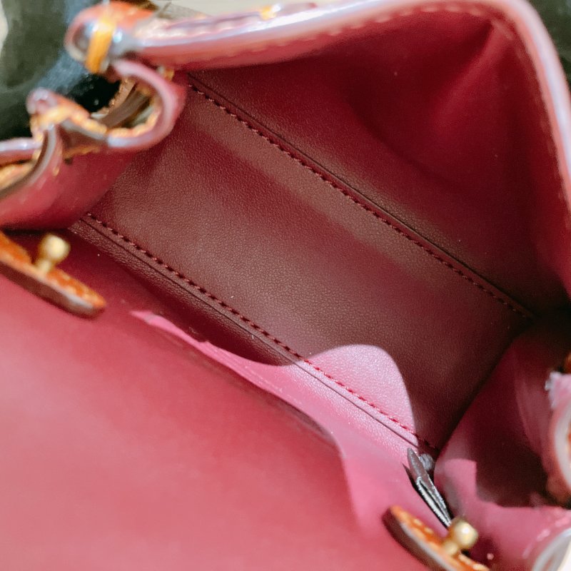 TK2049 Coach 蔻馳迷你兩用包包 Mini Shoulder Bag Brown-15