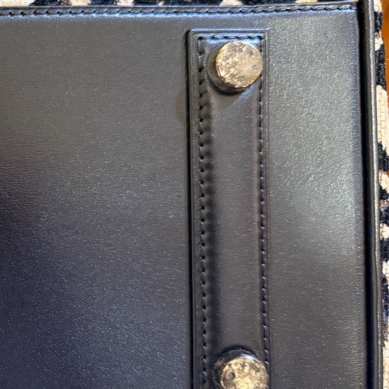 LOUIS VUITTON 限量Stephen Sprouse豹紋Speedy 30-6