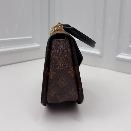 芯片款 路易威登/Louis Vuitton Tilsitt拼色金扣扇子包-3
