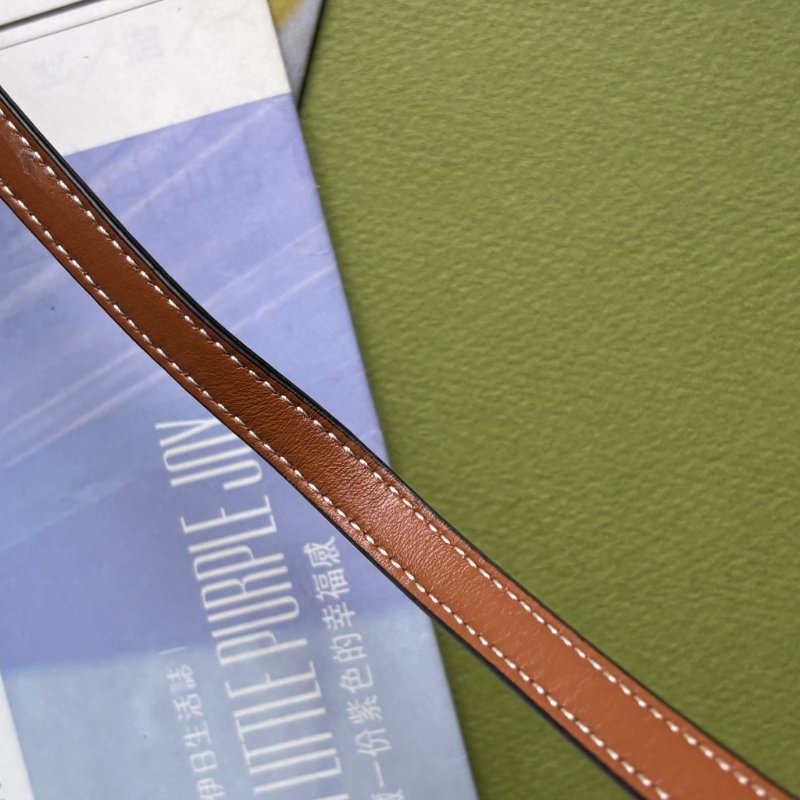 ::CELINE:: Triomphe strap WOC 經典凱旋門老花雙層斜背包-24