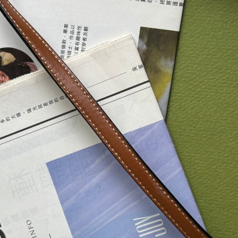 ::CELINE:: Triomphe strap WOC 經典凱旋門老花雙層斜背包-25