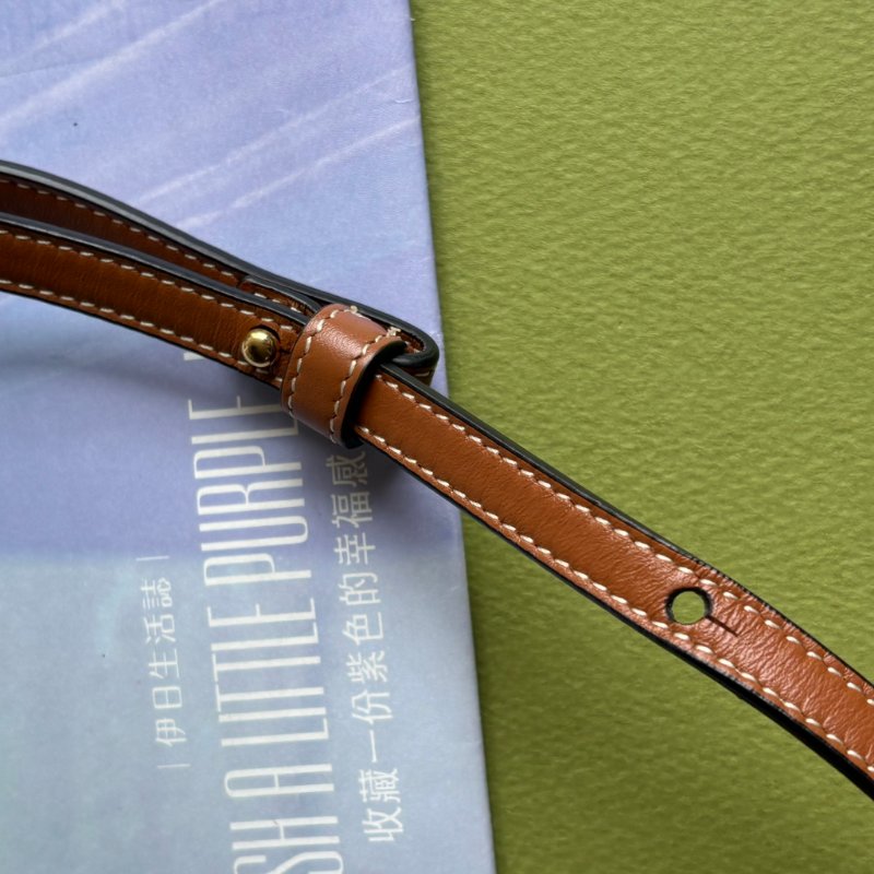 ::CELINE:: Triomphe strap WOC 經典凱旋門老花雙層斜背包-26