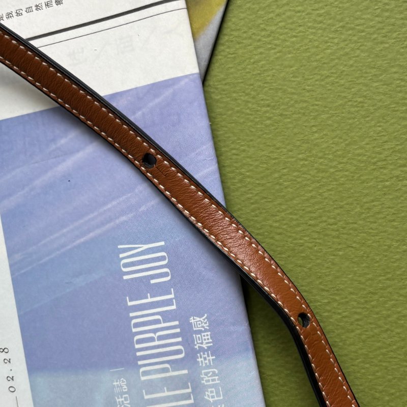 ::CELINE:: Triomphe strap WOC 經典凱旋門老花雙層斜背包-27