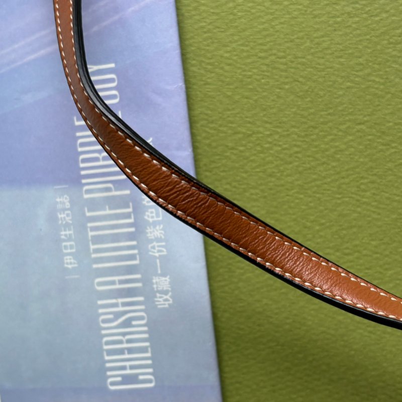::CELINE:: Triomphe strap WOC 經典凱旋門老花雙層斜背包-28