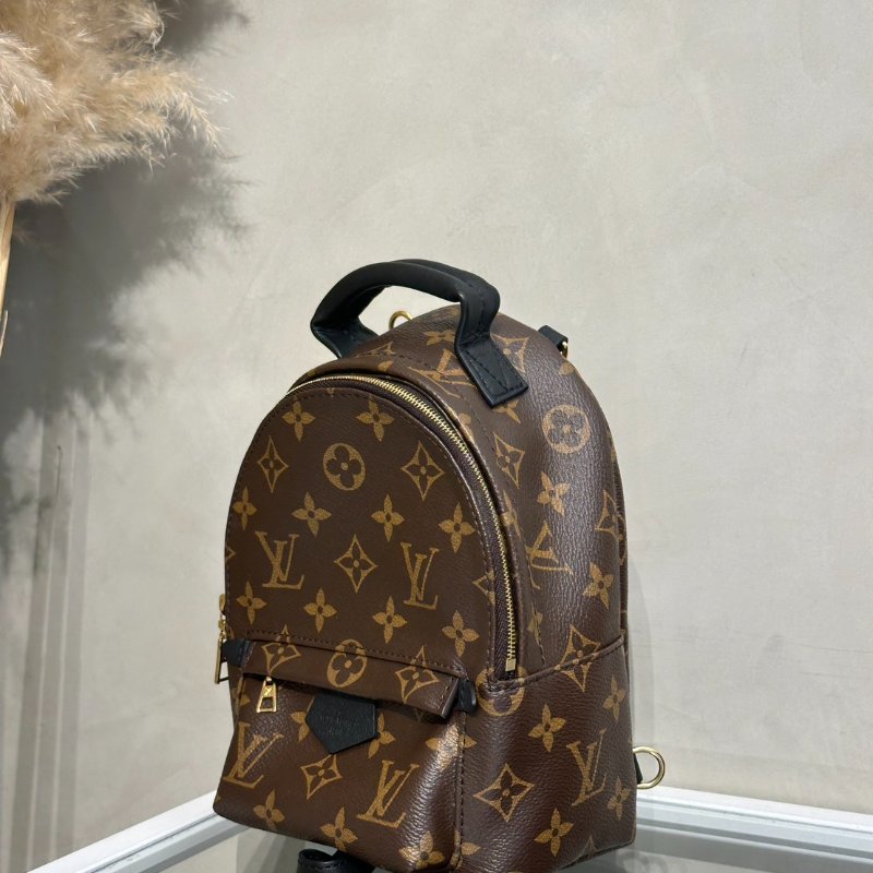 LOUIS VUITTON Palm Springs後背包 - Mini-3