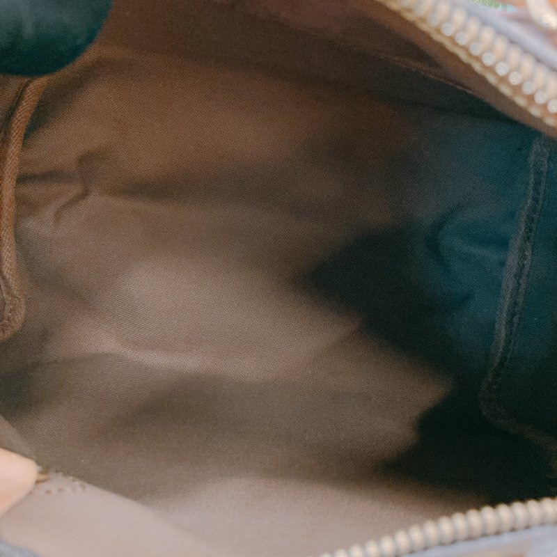 MS0639 Louis Vuitton 路易威登 枕頭包 帆布塗層 經典老花紋 金扣 Speedy 25 Canvas Monogram x GHW-16
