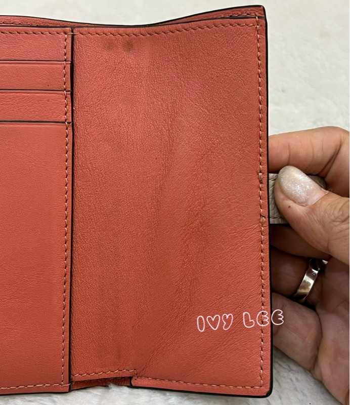 Loewe Small Vertical Wallet 羅威小型直式錢包 短夾  淺棕 米色 粉嫩橘 正品 二手精品-21