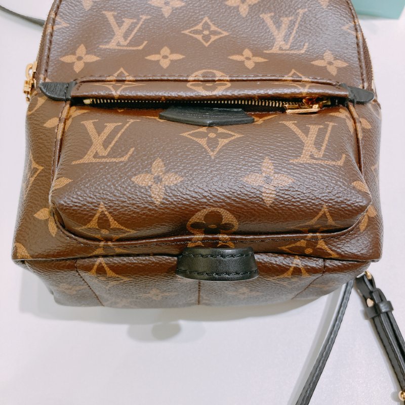 TW4829 Louis Vuitton 路易威登 迷你 經典小背包 Palm Springs Mini Backpack Monogram Canvas Brown-5