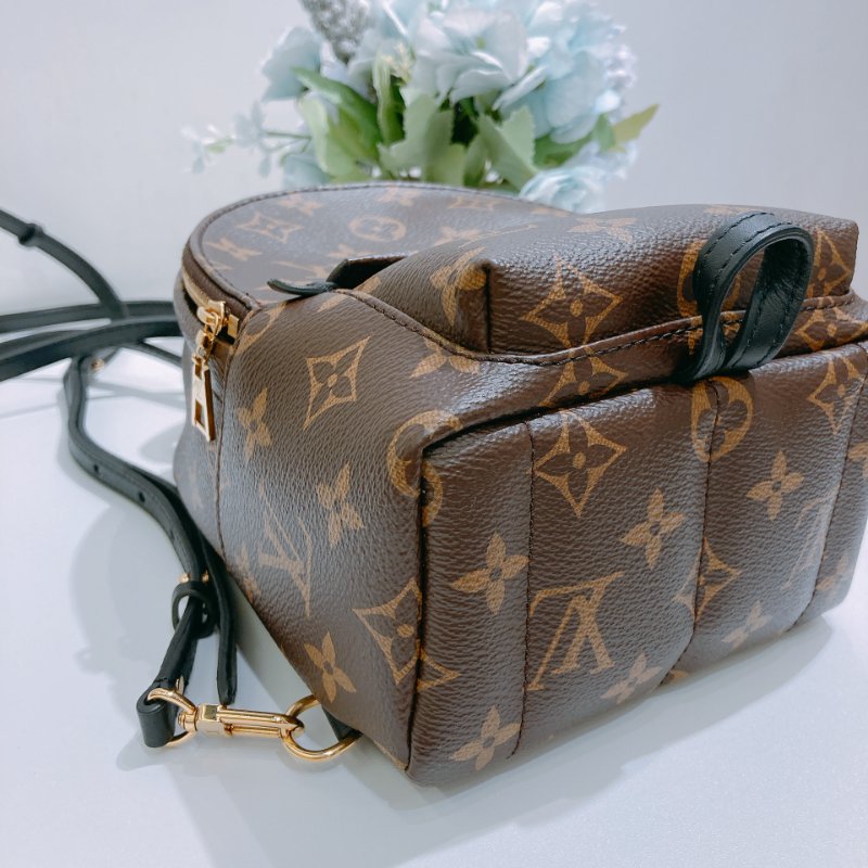 TW4829 Louis Vuitton 路易威登 迷你 經典小背包 Palm Springs Mini Backpack Monogram Canvas Brown-6