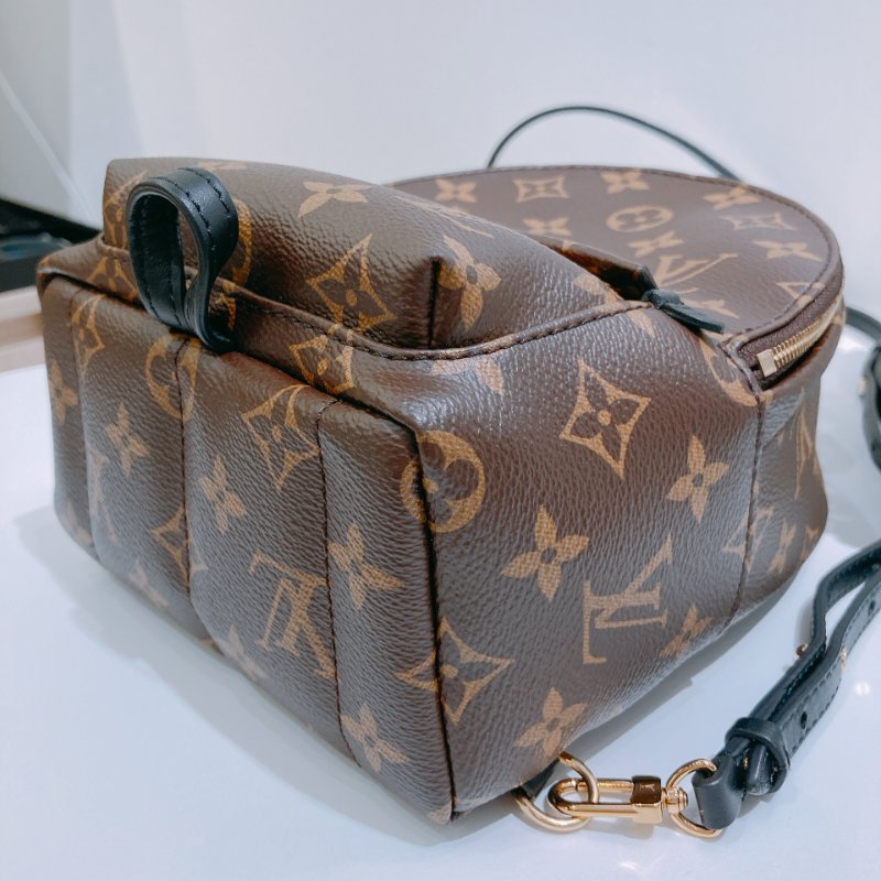 TW4829 Louis Vuitton 路易威登 迷你 經典小背包 Palm Springs Mini Backpack Monogram Canvas Brown-7