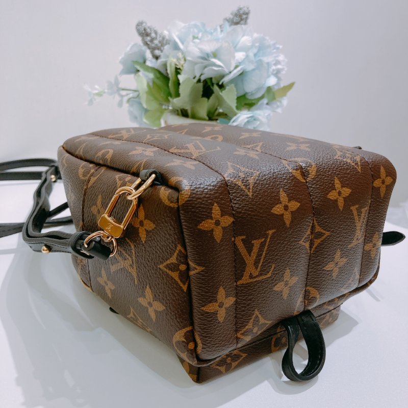 TW4829 Louis Vuitton 路易威登 迷你 經典小背包 Palm Springs Mini Backpack Monogram Canvas Brown-8