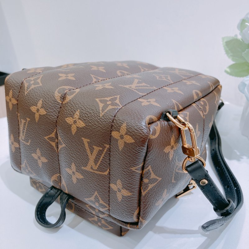 TW4829 Louis Vuitton 路易威登 迷你 經典小背包 Palm Springs Mini Backpack Monogram Canvas Brown-9