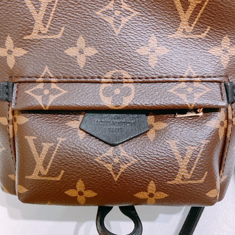 TW4829 Louis Vuitton 路易威登 迷你 經典小背包 Palm Springs Mini Backpack Monogram Canvas Brown-10