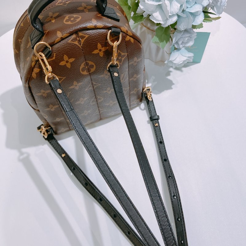 TW4829 Louis Vuitton 路易威登 迷你 經典小背包 Palm Springs Mini Backpack Monogram Canvas Brown-21