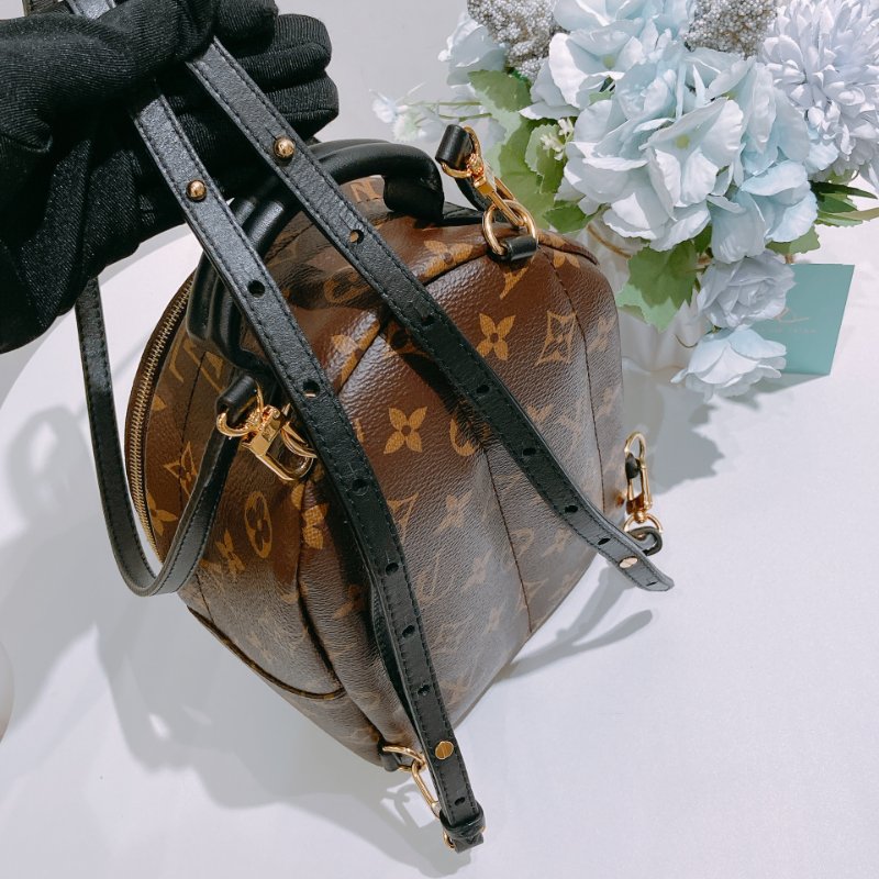 TW4829 Louis Vuitton 路易威登 迷你 經典小背包 Palm Springs Mini Backpack Monogram Canvas Brown-23