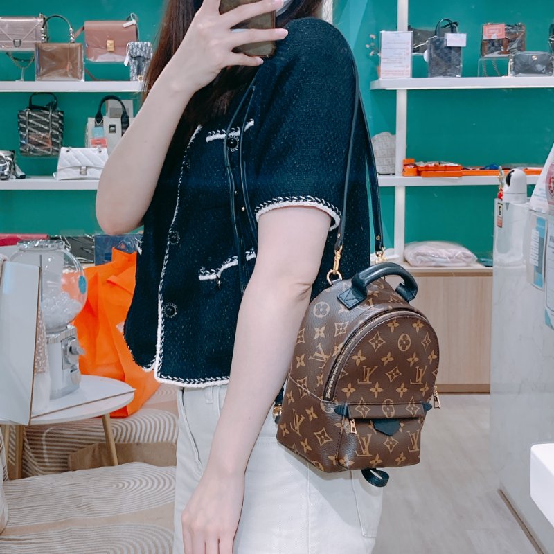 TW4829 Louis Vuitton 路易威登 迷你 經典小背包 Palm Springs Mini Backpack Monogram Canvas Brown-24