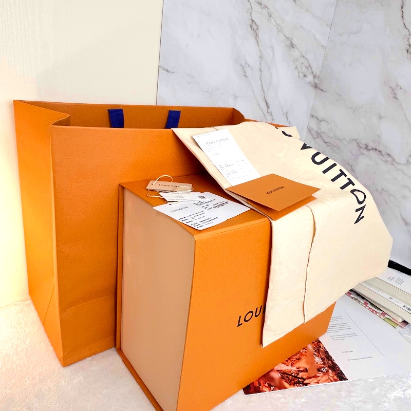 LV Carryall PM 老花小號肩背包 晶片款-4
