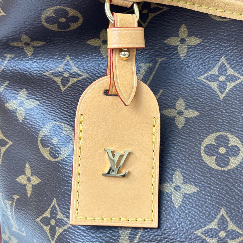 LV Carryall PM 老花小號肩背包 晶片款-20