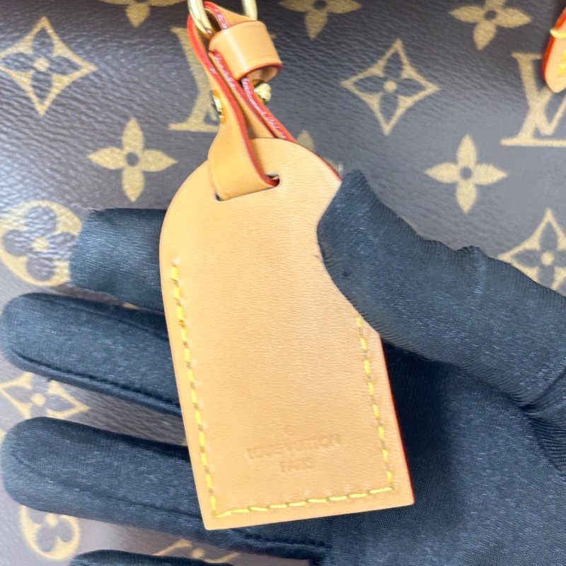 LV Carryall PM 老花小號肩背包 晶片款-21