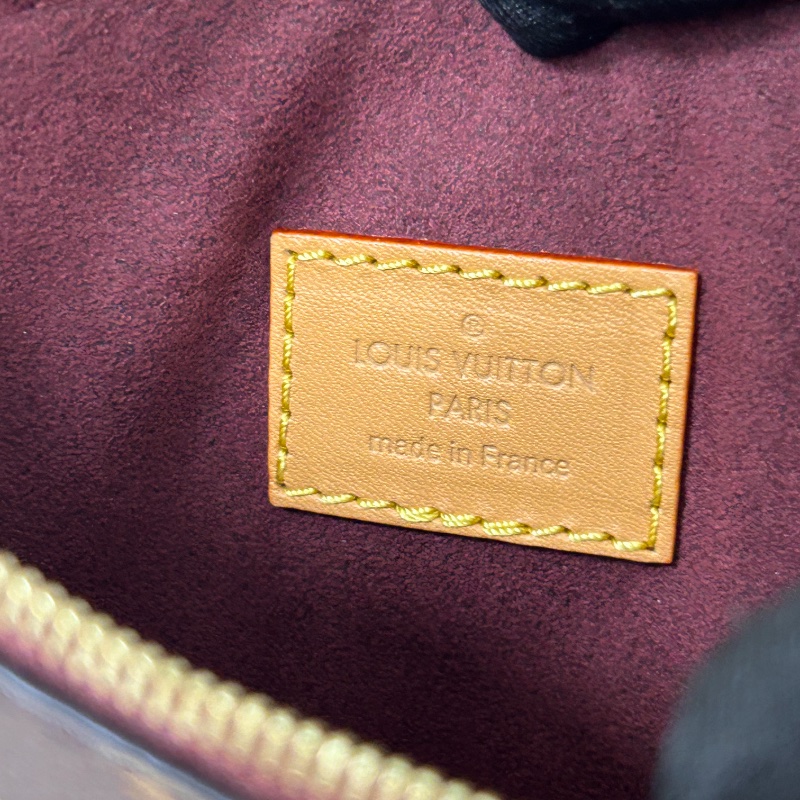 LV Carryall PM 老花小號肩背包 晶片款-38