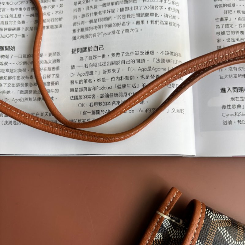 ::GOYARD:: Plumet Pocket 經典深棕咖色翻蓋斜背信封包-17