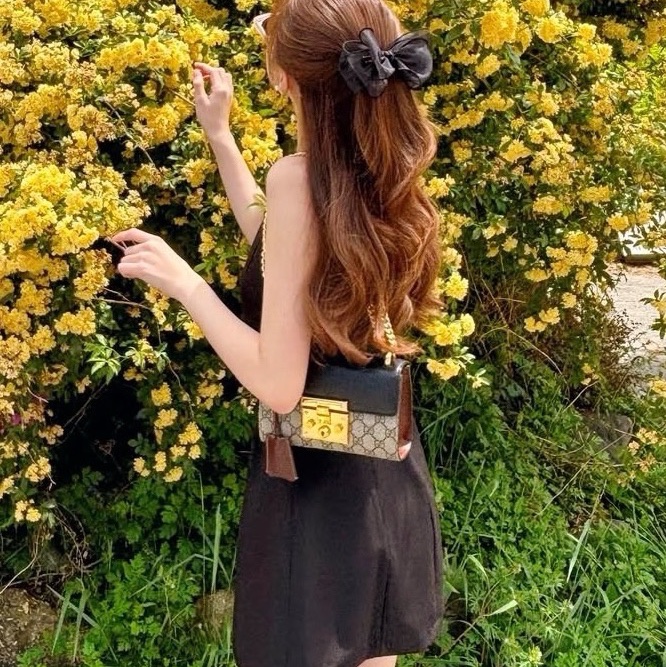 古馳/Gucci Padlock 黑色拼老花月光寶盒-5