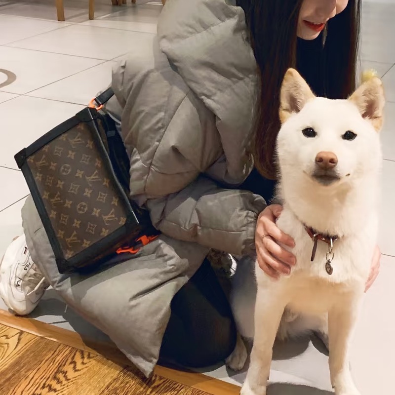Louis Vuitton路易威登男士Soft Trunk老花軟盒子🌞-22