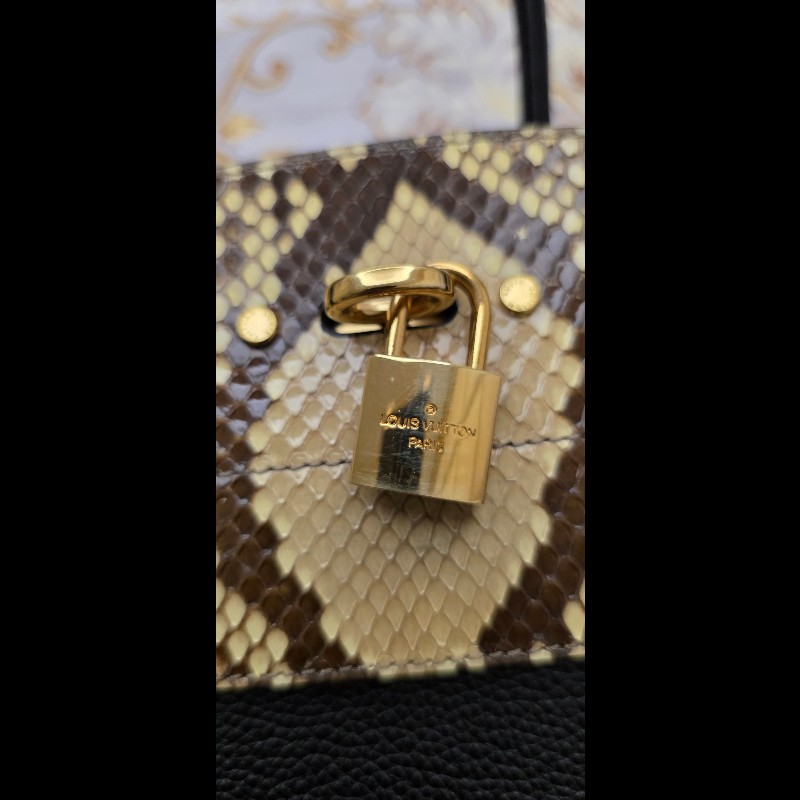 Louis Vuitton LV City Steamer 珍稀蟒蛇皮拼接手提包-6