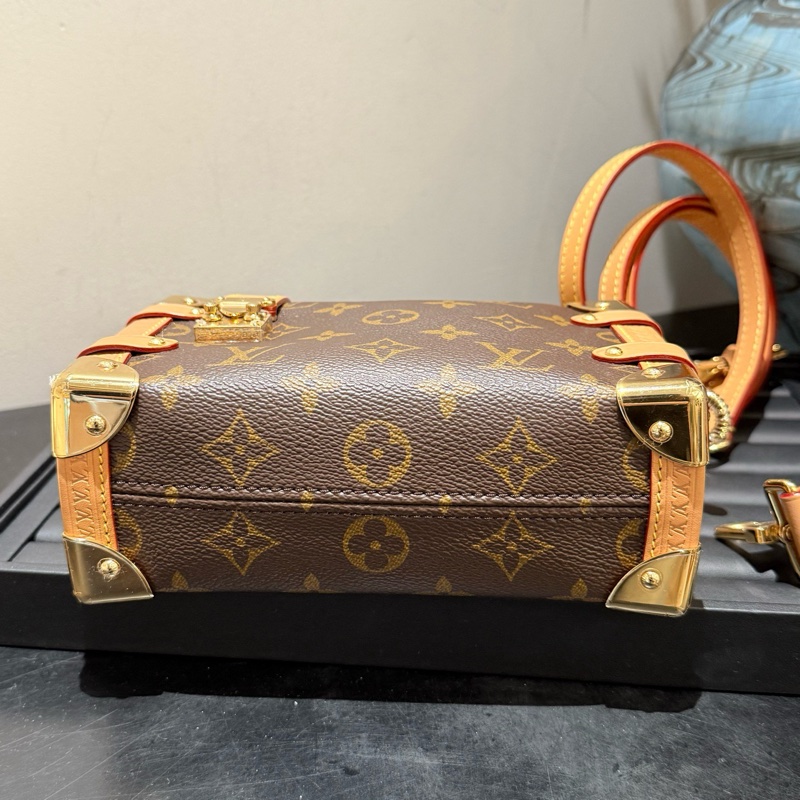 98新Louis Vuitton路易威登 老花軟盒子 芯片款 附件：塵袋-8